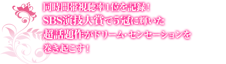 同時間帯視聴率1位を記録！ SBS演技大賞で5冠に輝いた超話題作がドリーム・センセーションを巻き起こす！