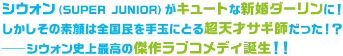 シウォン（SUPER JUNIOR）がキュートな新婚ダーリンに！しかしその素顔は全国民を手玉にとる超天才サギ師だった！？──シウォン史上最高の傑作ラブコメディ誕生！！