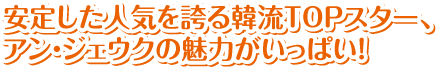 安定した人気を誇る韓流TOPスター、アン・ジェウクの魅力がいっぱい！