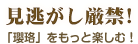 見逃がし厳禁！「瓔珞」をもっと楽しむ！