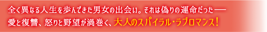 全く異なる人生を歩んできた男女の出会い。それは偽りの運命だった－愛と復讐、怒りと野望が渦巻く、大人のスパイラル・ラブロマンス！