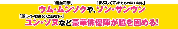 「熱血司祭」ウム・ムンソクや、「まぶしくて-私たちの輝く時間-」ソン・サンウン、「麗〈レイ〉～花萌ゆる8人の皇子たち～」ユン・ソヌなど豪華俳優陣が脇を固める！