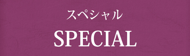 SPECIAL(スペシャル)