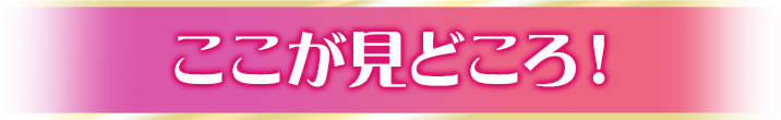 ここが見どころ！タイトルSP表示