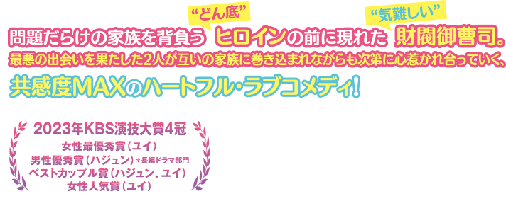 最悪の出会いを果たした2人が互いの家族に巻き込まれながらも次第に心惹かれ合っていく、共感度MAXのハートフル・ラブコメディ！