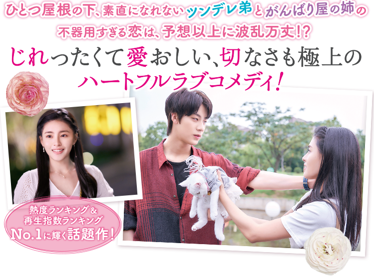 熱度ランキング＆再生指数ランキングNo.1に輝く話題作！ ひとつ屋根の下、素直になれないツンデレ弟とがんばり屋の姉の不器用すぎる恋は、予想以上に波乱万丈！？ じれったくて愛おしい、切なさも極上のハートフルラブコメディ！