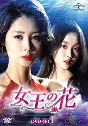 DVD-SET1