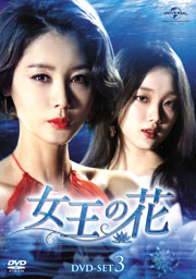 DVD-SET3