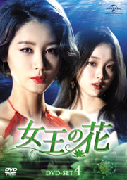 DVD-SET4