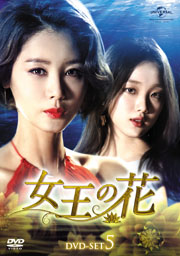 DVD-SET5