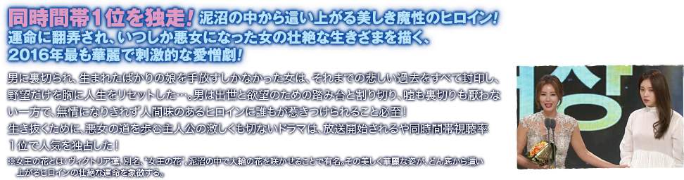 同時間帯1位を独走！ 泥沼の中から這い上がる美しき魔性のヒロイン！ 運命に翻弄され、いつしか悪女になった女の壮絶な生きざまを描く、2016年最も華麗で刺激的な愛憎劇！／男に裏切られ、生まれたばかりの娘を手放すしかなかった女は、それまでの悲しい過去をすべて封印し、野望だけを胸に人生をリセットした…。男は出世と欲望のための踏み台と割り切り、嘘も裏切りも厭わない一方で、無情になりきれず人間味のあるヒロインに誰もが惹きつけられること必至！ 生き抜くために、悪女の道を歩む主人公の激しくも切ないドラマは、放送開始されるや同時間帯視聴率１位で人気を独占した！※女王の花とは：ヴィクトリア蓮、別名、“女王の花”。泥沼の中で大輪の花を咲かせることで有名。その美しく華麗な姿が、どん底から這い上がるヒロインの壮絶な運命を象徴する。