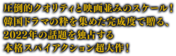 圧倒的クオリティと映画並みのスケール！韓国ドラマの粋を集めた完成度で贈る、2022年の話題を独占する本格スパイアクション超大作！