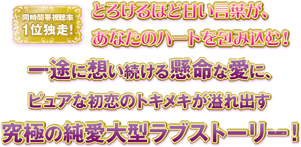 同時間帯視聴率1位独走！ とろけるほど甘い言葉が、あなたのハートを包み込む！ 一途に想い続ける懸命な愛に、ピュアな初恋のトキメキが溢れ出す、究極の純愛大型ラブストーリー！