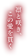 凛と咲き、この愛を貫く