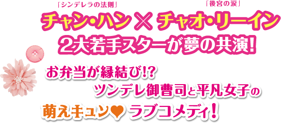 「シンデレラの法則」「後宮の涙」 チャン・ハン×チャオ・リーイン　2大若手スターが夢の共演!  お弁当が縁結び!?ツンデレ御曹司と平凡女子の萌えキュン♡ラブコメディ!