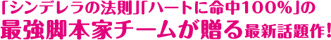 「シンデレラの法則」「ハートに命中100％」の最強脚本家チームが贈る最新話題作!