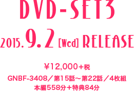 ＜DVD-SET3＞ 2015.9.2［Wed］RELEASE　¥12,000＋税／GNBF-3408／第15話～第22話／4枚組／本編558分＋特典84分