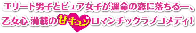 エリート男子とピュア女子が運命の恋に落ちる―、乙女心満載の甘キュン♥︎ロマンチックラブコメディ！