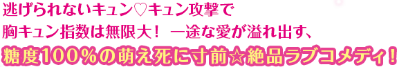 逃げられないキュン♥キュン攻撃で胸キュン指数は無限大！一途な愛が溢れ出す、糖度100％の萌え死に寸前☆絶品ラブコメディ！