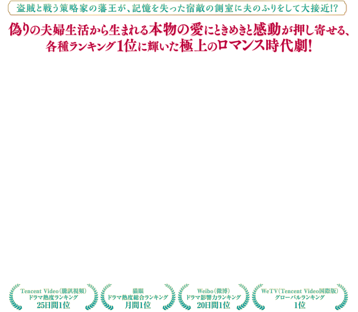 盗賊と戦う策略家の藩王が、記憶を失った宿敵の側室に夫のふりをして大接近！？偽りの夫婦生活から生まれる本物の愛にときめきと感動が押し寄せる、各種ランキング1位に輝いた極上のロマンス時代劇！