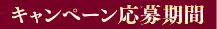 キャンペーン応募期間