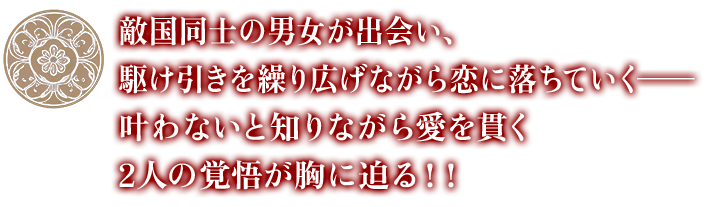敵国同士の男女が出会い、駆け引きを繰り広げながら恋に落ちていく——— 叶わないと知りながら愛を貫く2人の覚悟が胸に迫る！！