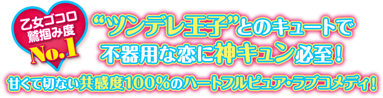 “ツンデレ王子”とのキュートで不器用な恋に神キュン必至！乙女ゴコロ鷲掴み度No.1！ 甘くて切ない共感度100％のハートフルピュア・ラブコメディ！