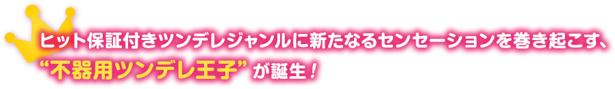 ヒット保証付きツンデレジャンルに新たなるセンセーションを巻き起こす、“不器用ツンデレ王子”が誕生！ 